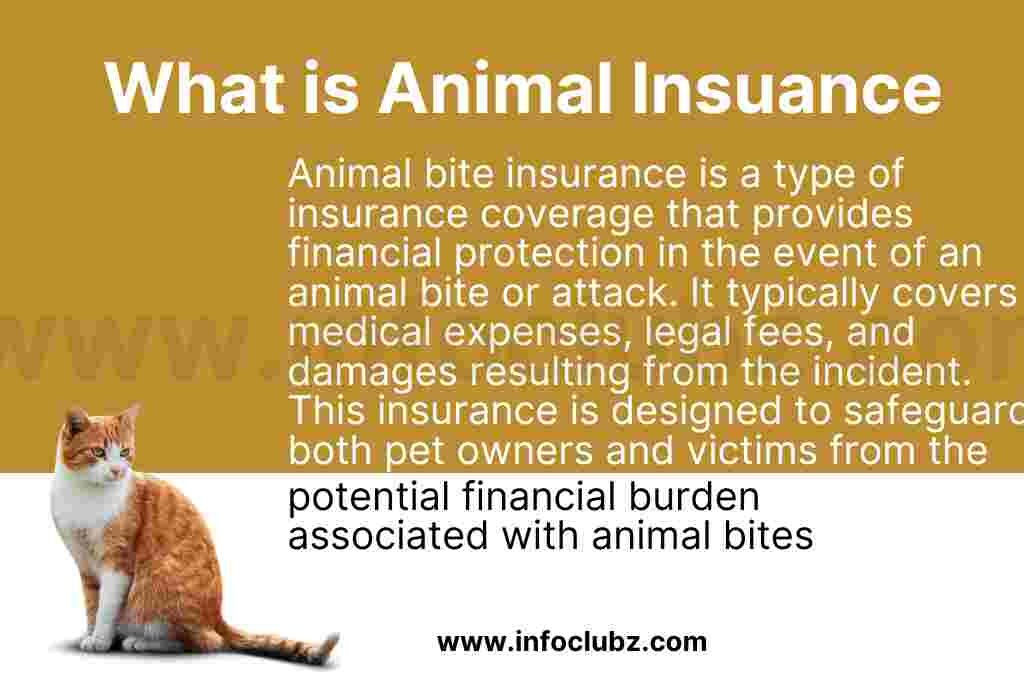 What is Animal Bite Insurance?