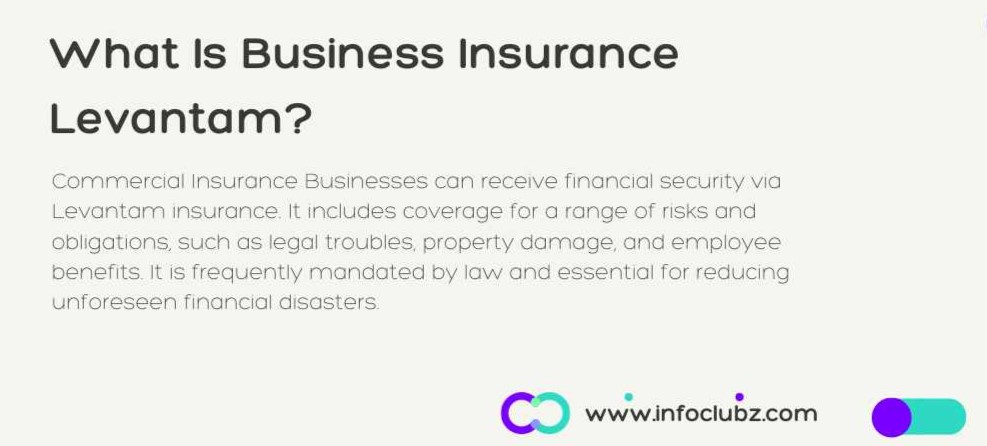 What Is Business Insurance Levantam?